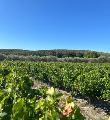 La Celle-sous-Gouzon Villa | Maison Sud entre mer et vignes
