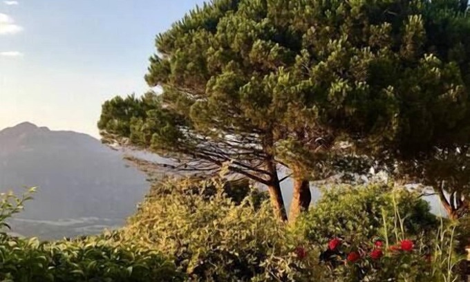 Viggianello House | Scenic Ocean View at Maison Individuelle vue mer n°5