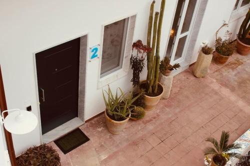 Nociglia Apartment | Guest Rated 10/10: Maison Luigi - Pet & Child Friendly Stay