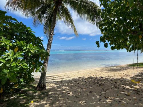 Maharepa House | Discover Maison Moehau Iti: Oceanfront Retreat with Pets Welcome