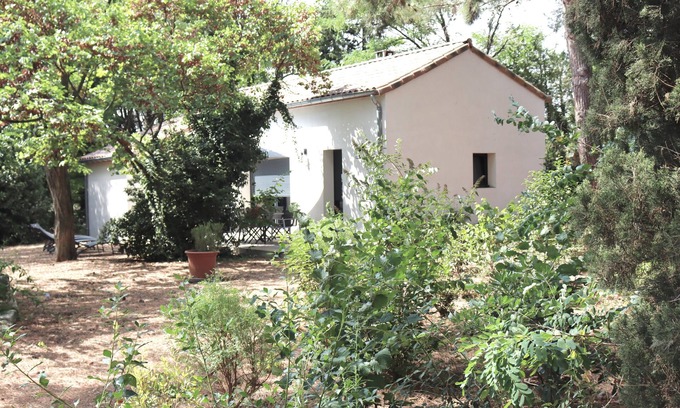 Saint-Just Other | Relaxing Retreat in a Languedocien Pine Forest with Pool