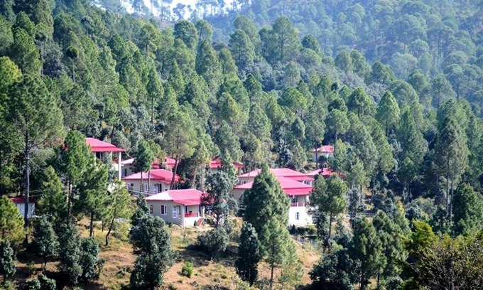 Majkhali Cabin | Eco-Friendly Retreat at Majkhali Woods, Ranikhet - Guest Rated 9.2