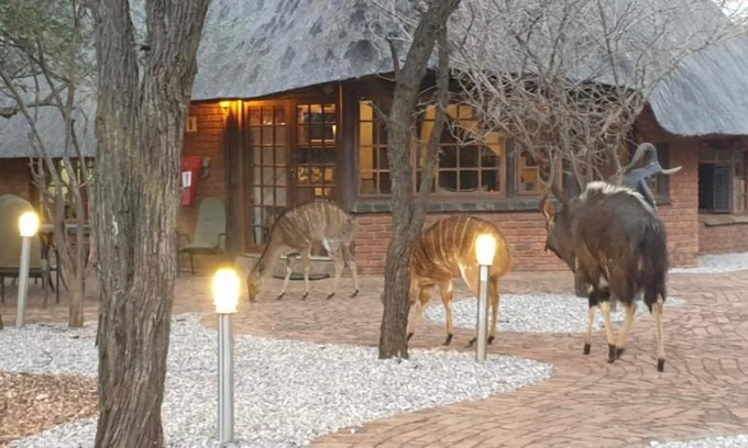 Bela-Bela House | Tranquil Makhato Bush Lodge: 4-Star Family Retreat