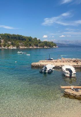 Cove Basina (Jelsa) Apartment | Mala Basina - Maslina: Oceanfront Bliss with Pet-Friendly Perks