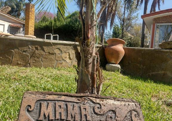 Roldan House | Family-Friendly Retreat at Mama LIDIA with Pool & Pets Welcome