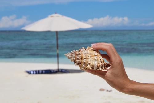 Feridhoo House | Experience MAMELLO Beach Club Maldives: Oceanfront Paradise