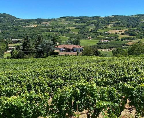 Vesime Bed & Breakfast | Top-Rated MAMOTA B&B with Pet-Friendly Amenities
