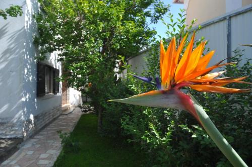 Cascais Bed & Breakfast | Oceanfront Escape at Manelisa Cascais - Rated 8.9/10