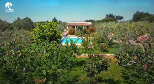Manfio House | Discover Manfio's: Oceanfront Retreat with Top Amenities