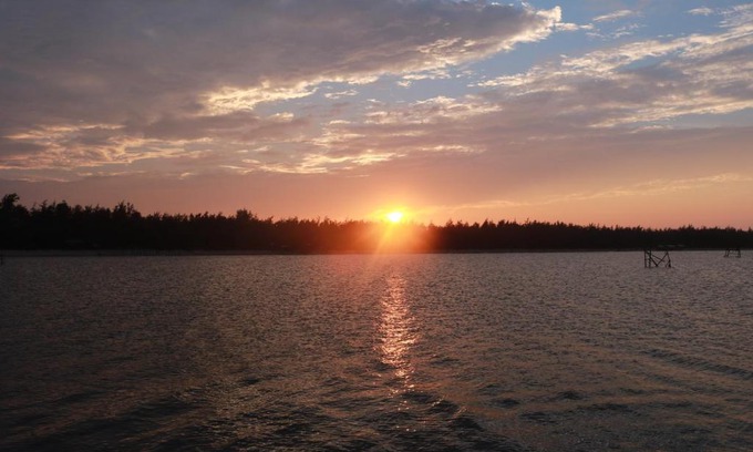 Dien Ban Bed & Breakfast | Oceanfront Retreat at Mango Beach Inn with Pet-Friendly Perks