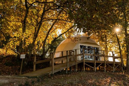 Carregal do Sal Other | Experience Manteiros Glamping: Pool, Hot Tub & Breakfast