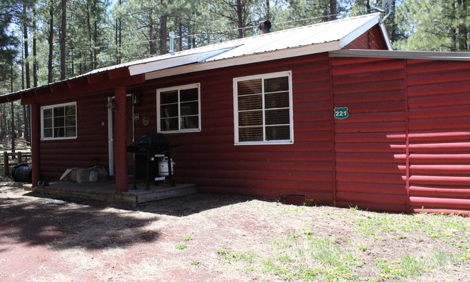 Greer Cabin | Cozy Rustic Cabin in the Pines - Family & Pet Friendly Stay