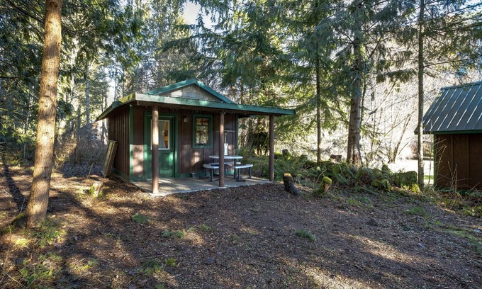 Maple Falls Cabin | Cozy Maple Falls Cabin #72 - Perfect for Pet Lovers
