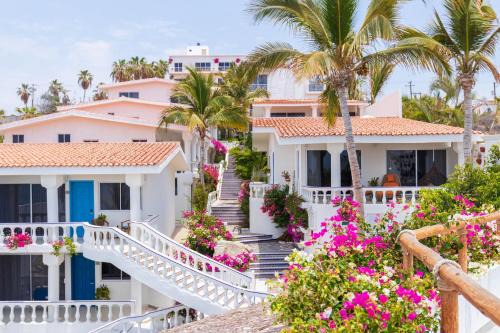 Cabo San Lucas Hotel | Experience Mar del Cabo: Pet-Friendly Beachfront Paradise