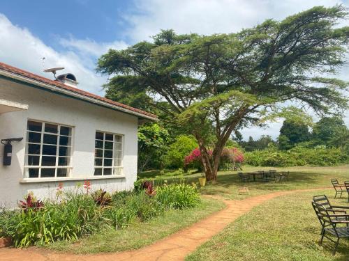 Rombo Hotel | Marangu Hotel