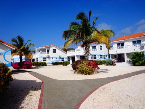 Sabana Westpunt Apartment | Oceanfront Escape at Marazul Dive Resort - Guest Rated 9/10