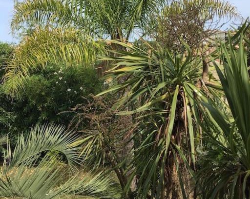 Ghisonaccia Apartment | Discover Mare è Monte: Exotic Mediterranean Garden Oasis