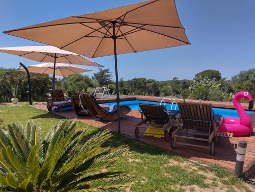 Valledoria Apartment | Beautiful Mare Hotel: Oceanfront Bliss with Pool Access
