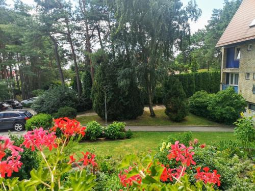 Nida Apartment | Discover Marių Studija: Pet-Friendly & Guest Rated 9.9
