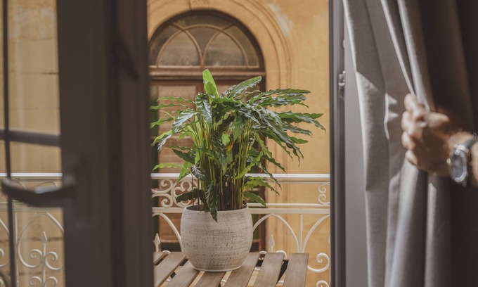 Victoria Bed & Breakfast | Discover Maria Rosa Suites: Exceptional 4-Star Comfort