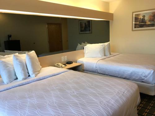 Carlyle Lake Resort | Discover Mariner's Village Resort: Pet-Friendly Oceanfront Retreat