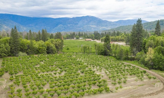 North Fork House | Cozy Mariposa House at Noma - Pet & Child Friendly Stay