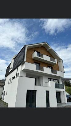 Paltinis Villa | Marmotta Paltinis