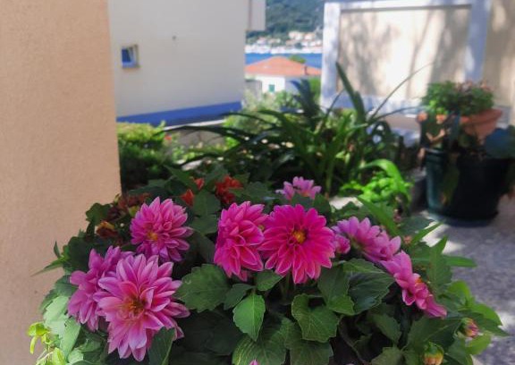 Rab Town Apartment | Top-Rated MaroVito: Pet-Friendly with Ocean Views