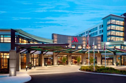 Columbus Hotel | Discover Marriott Columbus OSU: Poolside Family Retreat