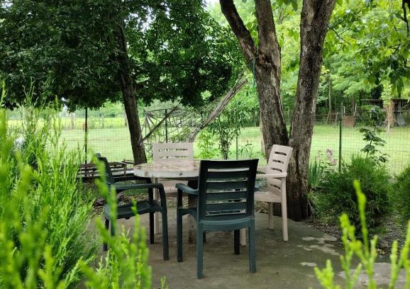 Salkhino House | Pet-Friendly Martvili Guesthouse with Breakfast & More