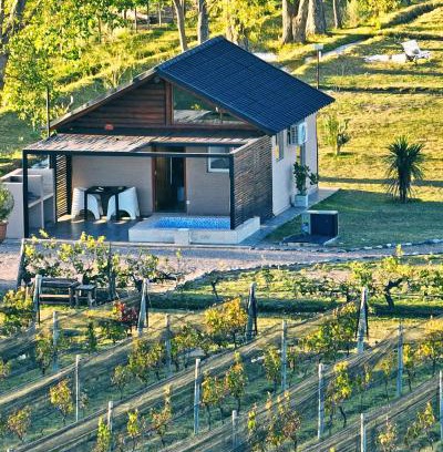 San Rafael House | Relaxing Martyniuk Lodges Surrounded by Vineyards