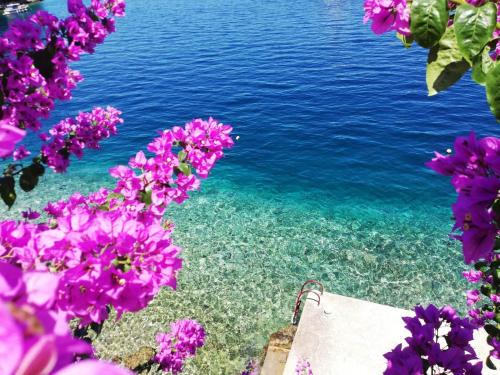 Racisce Apartment | Oceanfront Marula Apartment - Guest Rated 9.6/10