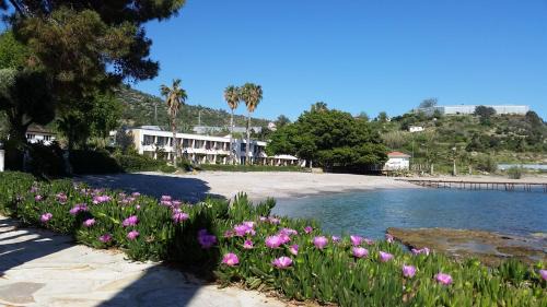 Bozyazi Hotel | Pet-Friendly Marvel Tree Hotel with Ocean View & Private Beach