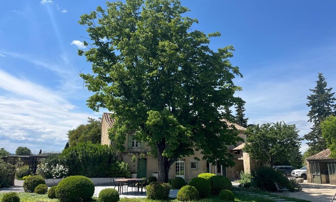 Sainte-Cecile-les-Vignes Other | Mas des Vignes, luxury villa surrounded by vineyards, sleeps 15