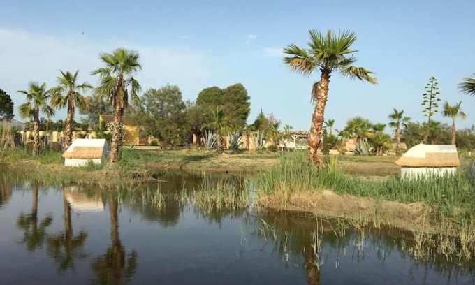 Saint-Laurent-d'Aigouze House | Discover Mas de l Isle Sauvage in Aigues Mortes, 4-Star Retreat