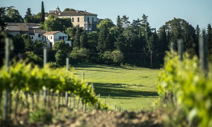 Puechredon Other | Mas de Puechredon: Family Retreat in a Wine Paradise!