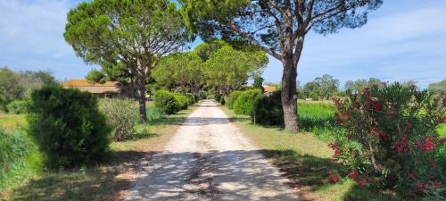 Port-Saint-Louis-du-Rhone House | Idyllic Mas du Grand Peloux: Oceanfront & Pet Friendly