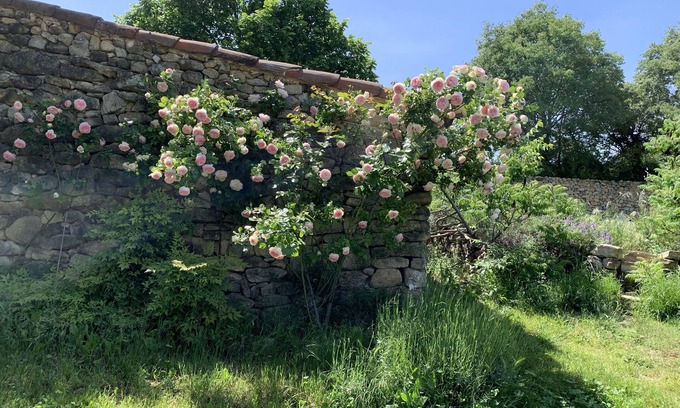 Lambesc Other | Mas en Provence: A Dreamy Family Getaway Awaits You