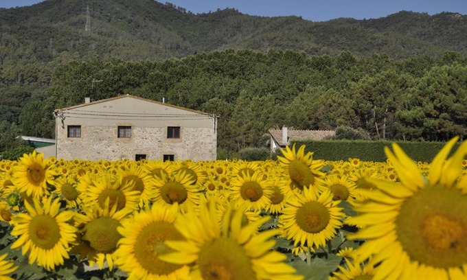 Sant Gregori House | Relax at Mas Font: Pet-Friendly with Pool & Hot Tub