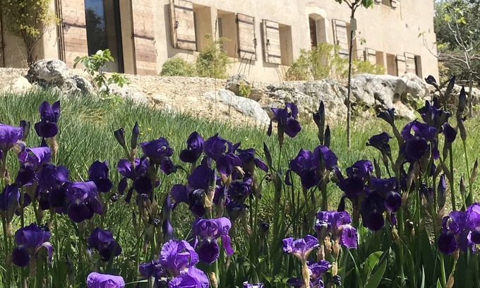 Saint-Saturnin-les-Apt Other | Secluded Mas in Provence with Breathtaking Luberon Views