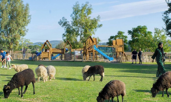 Le Pouget Other | Mas with pool in an educational farm