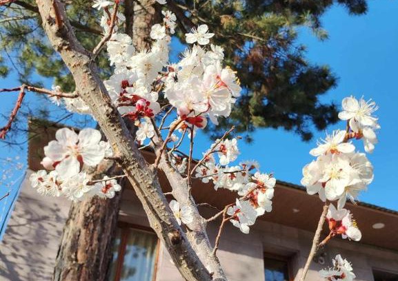 Vanadzor Apartment | Cozy Mashtots B&B with Hot Tub & Breakfast Included