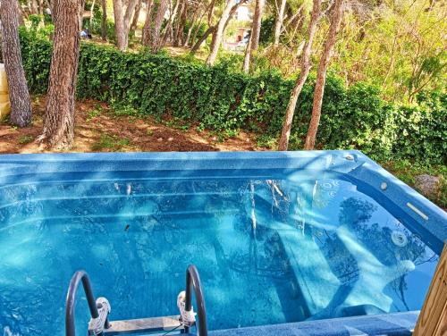 El Roc de Sant Gaieta Villa | Pet-Friendly Haven: Masia Del Roc with Oceanfront Pool