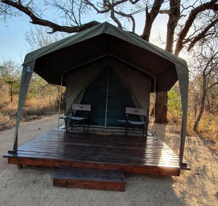 Thorny Bush Game Reserve Other | Discover Mzsingitana Tented Camp with Oceanfront Views