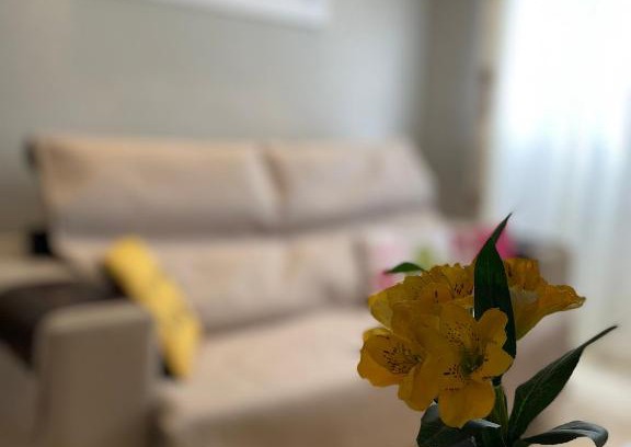 Massaguacu House | Pet-Friendly Massagua House: Rated 9.4/10 by Guests