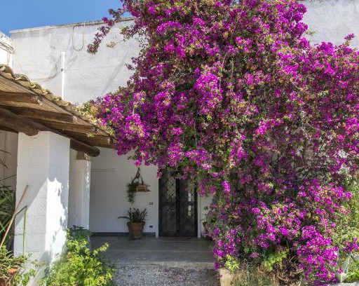 Torre Santa Susanna House | Experience Relaxation at Masseria Bellamarina, 4-Star Retreat