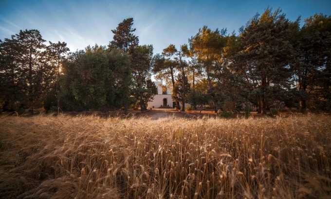 Galatina Bed & Breakfast | High-Rated Masseria Fracchicchi: Pet & Child Friendly Stay
