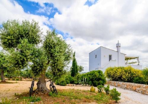 Conversano House | Unforgettable Stays at Masseria Montefieno with Pool & Ocean Views
