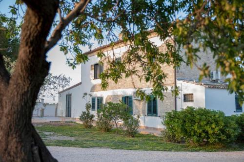 Pietramontecorvino Bed & Breakfast | Experience Masseria Piana Cimino: Rated 10/10 & Pet Friendly