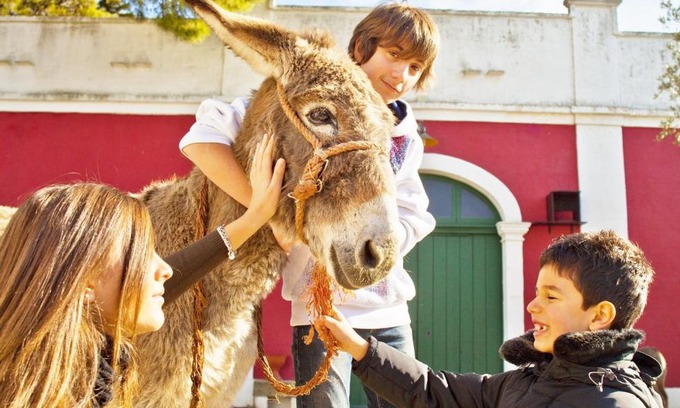 Laterza House | Pet-Friendly Masseria Sierro lo Greco with Breakfast Included